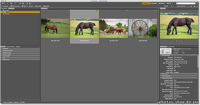 Работа с Camera Raw В приложении Adobe Bridge против Photoshop рисовать в фотошоп