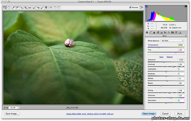 Camera Raw против Photoshop - Какие следует использовать? рисовать в фотошоп