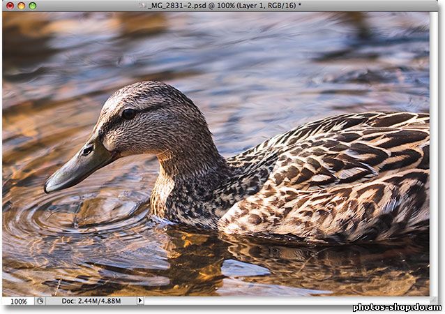 Воскрешая в тенях и светах подробно в изображение с Photoshop рисовать в фотошоп