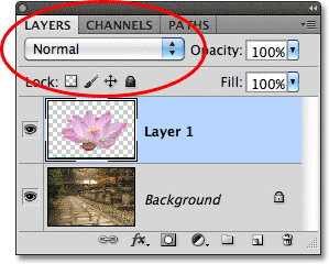 Photoshop Layer режимов наложения Ярлыки Essential Keyboard рисовать в фотошоп