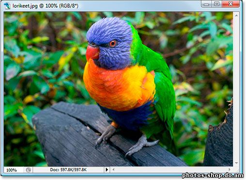RGB и цветовых каналов в Photoshop Разъяснения рисовать в фотошоп