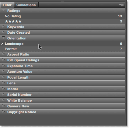 Что такое Adobe Bridge? рисовать в фотошоп