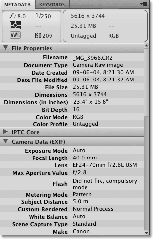 Adobe Bridge CS4 Краткий обзор рисовать в фотошоп