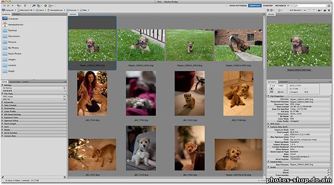 Как загружать фотографии с вашей цифровой камеры с Adobe Bridge CS5 рисовать в фотошоп